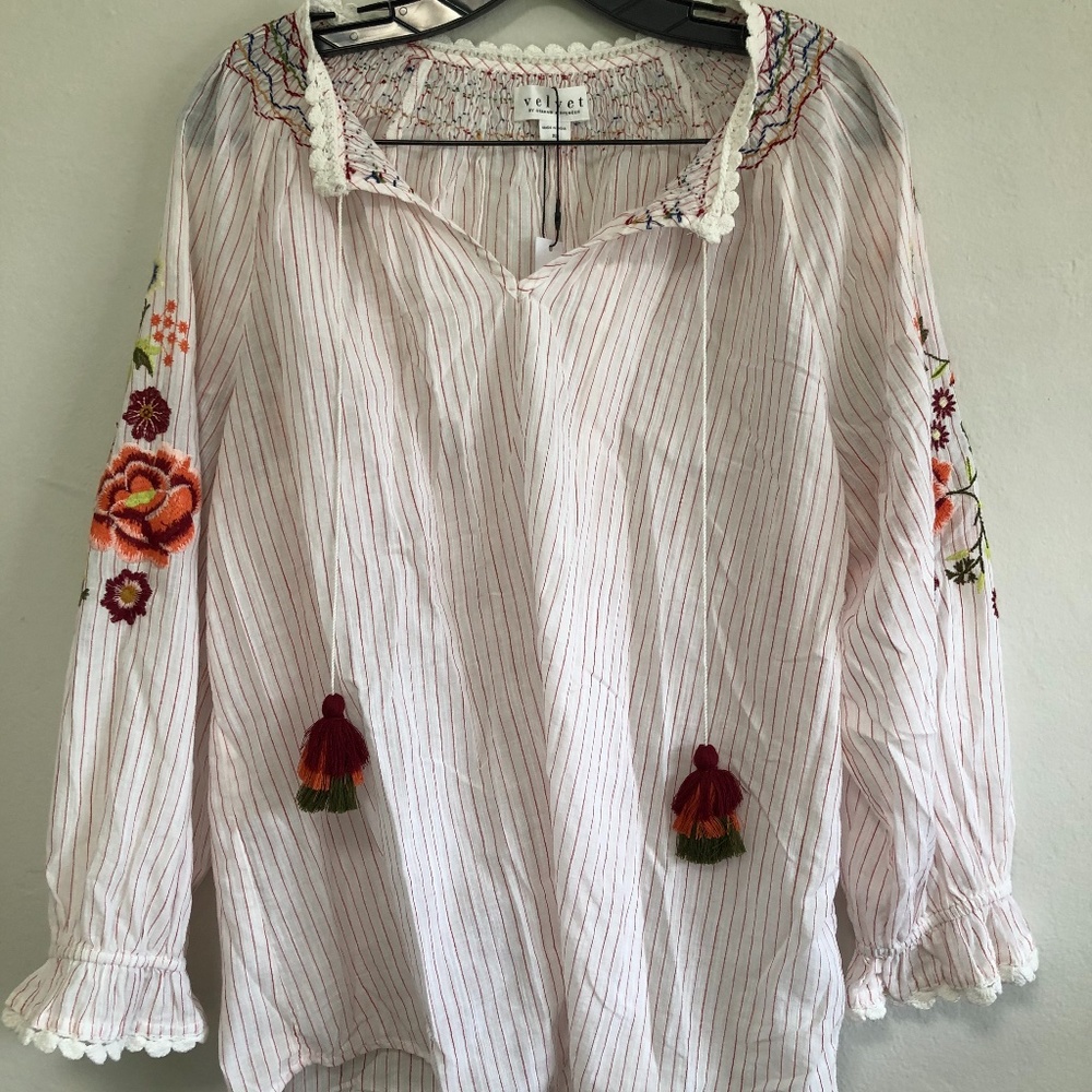 Velvet Embroidered Stripped Blouse
